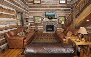 TV, fireplace, video games, DVD player