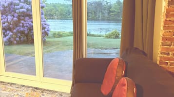 TV, fireplace, table tennis