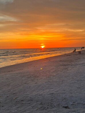 Nära stranden, solstolar och strandhanddukar