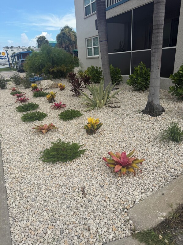 Uma área ajardinada com diversas plantas e um edifício ao fundo.