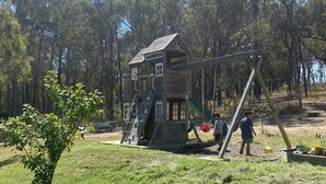 A wooden playhouse with a slide and climbing wall, surrounded by grass and trees. - Charming off-grid cabin with room to explore (Briagolong)
