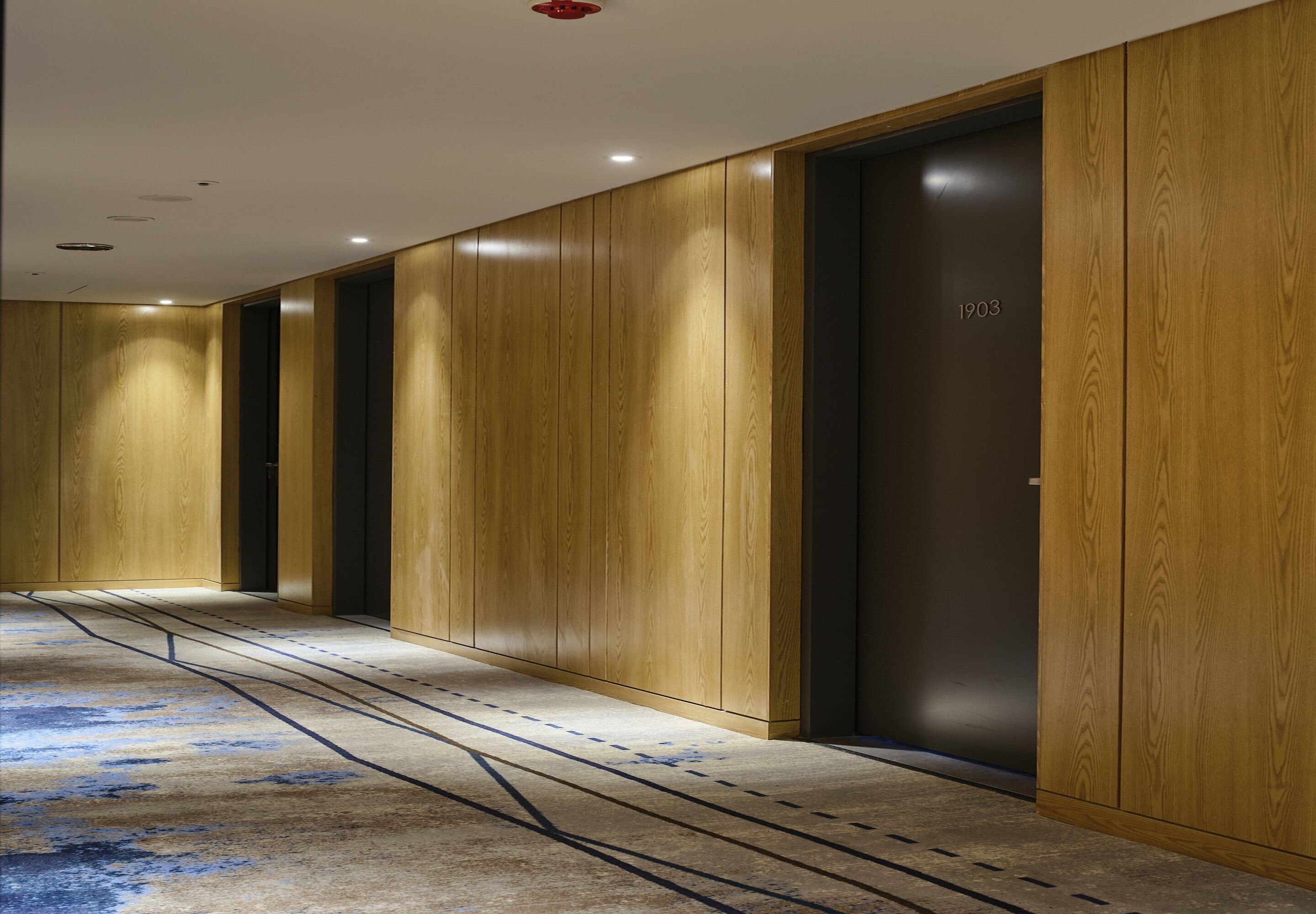 A hallway with wooden paneling and a carpet with a blue pattern.