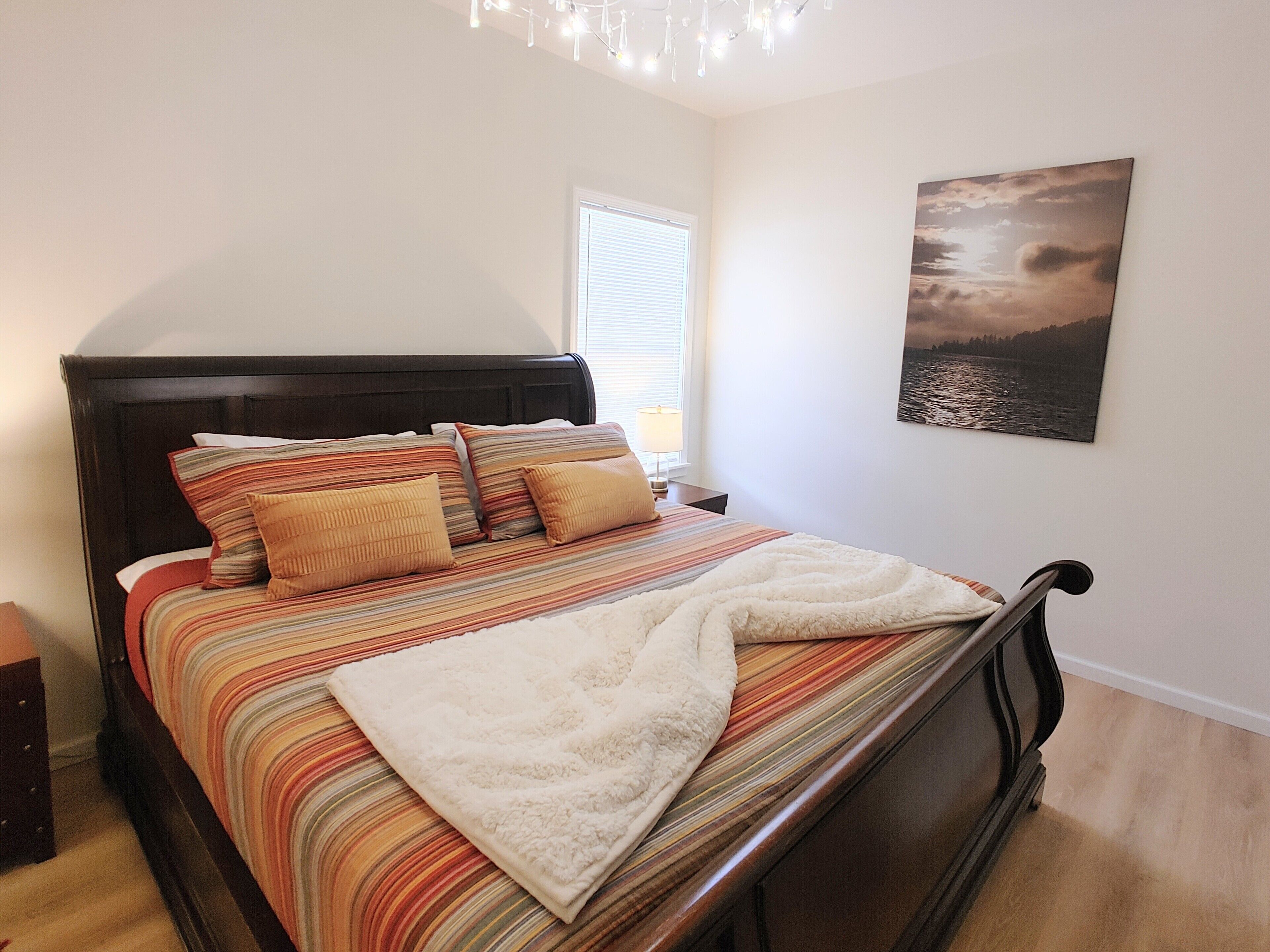 Spacious yet Cozy One-Bedroom Apartment