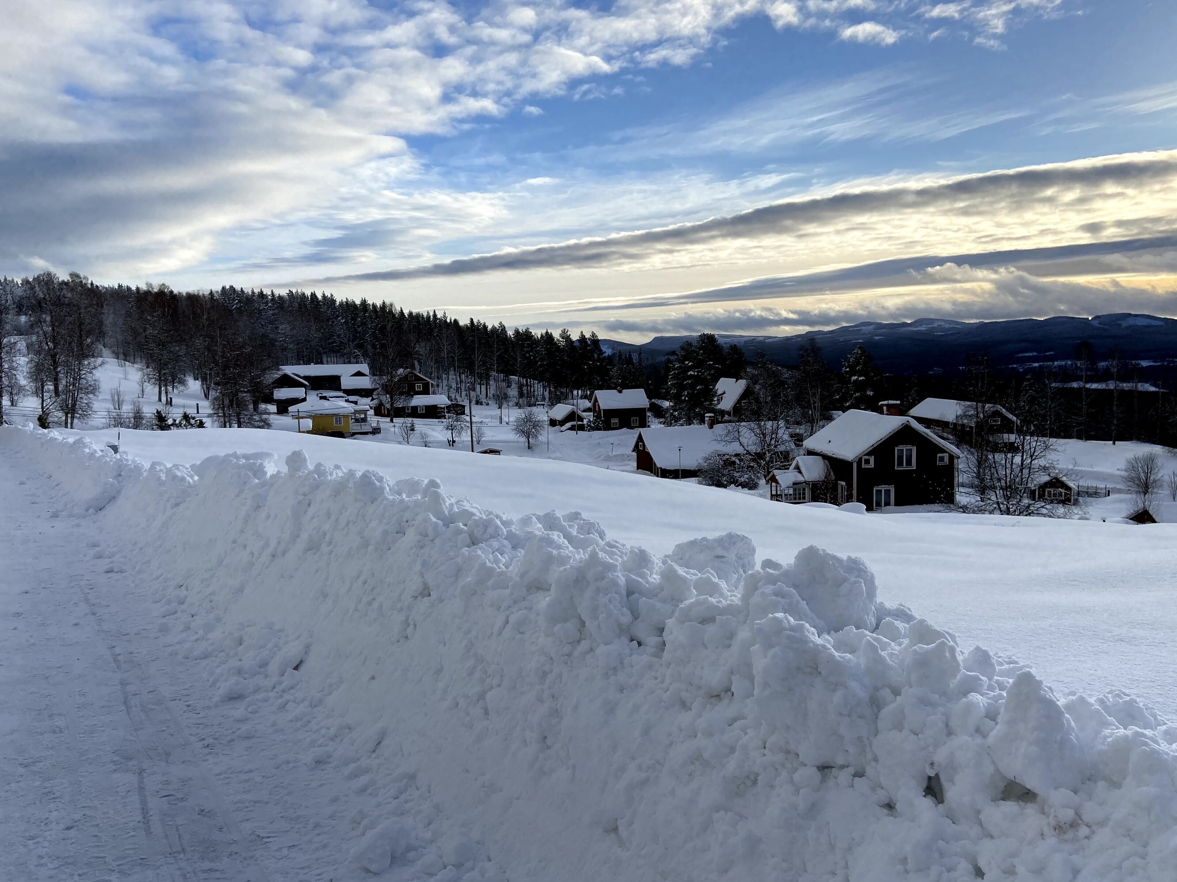 Ett snötäckt landskap med hus och en skog i bakgrunden.