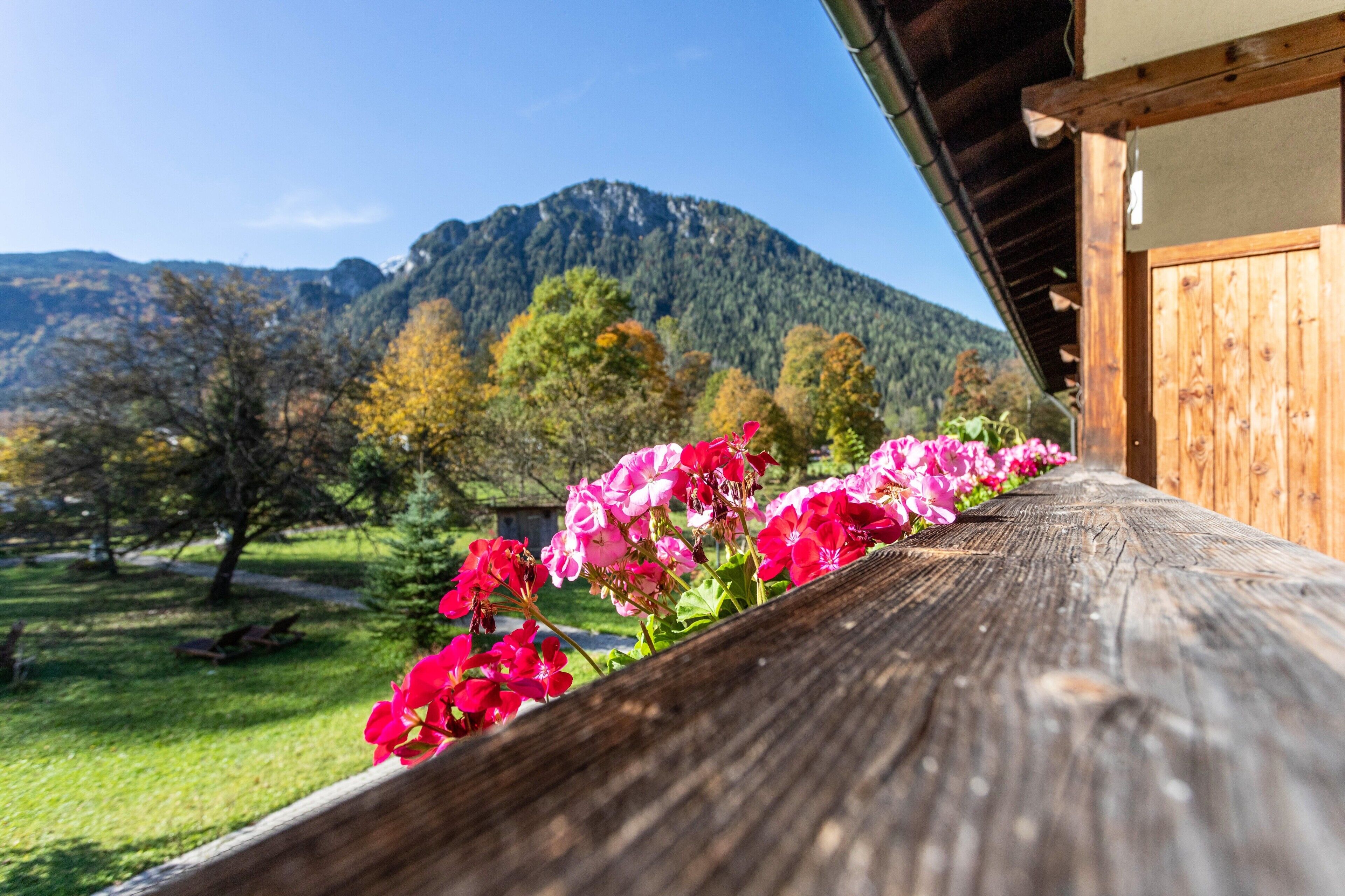 A wooden bench with pink flowers, a mountain in the background, and a clear sky.