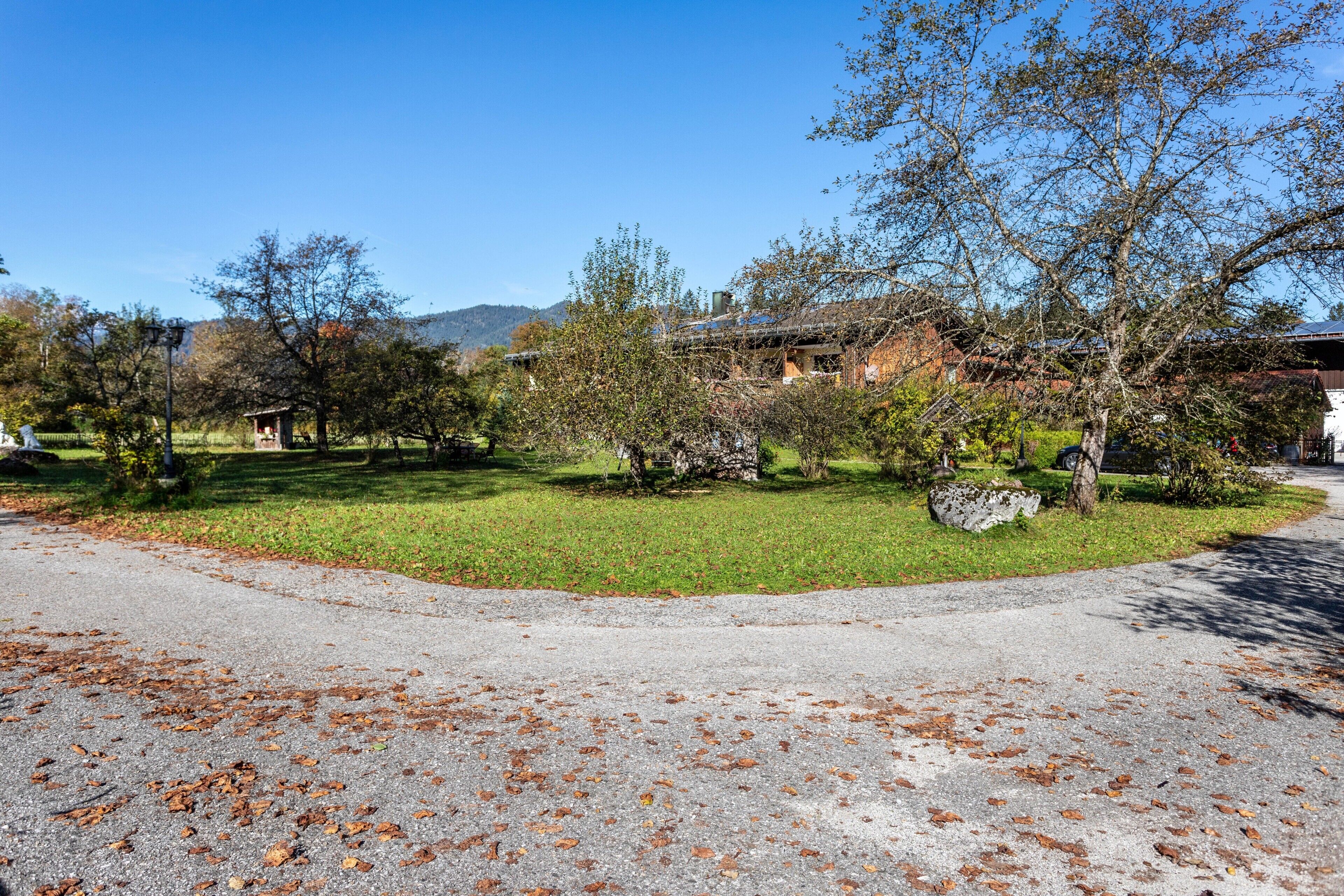 A paved pathway with scattered leaves, a grassy area with trees, and a building in the background.