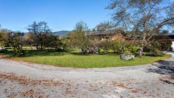 A paved pathway with scattered leaves, a grassy area with trees, and a building in the background.