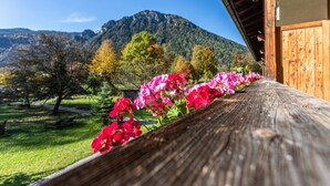 Eine hölzerne Bank mit rosa Blumen in einem Garten, im Hintergrund ein Berg und ein Holzgebäude mit einer Tür.