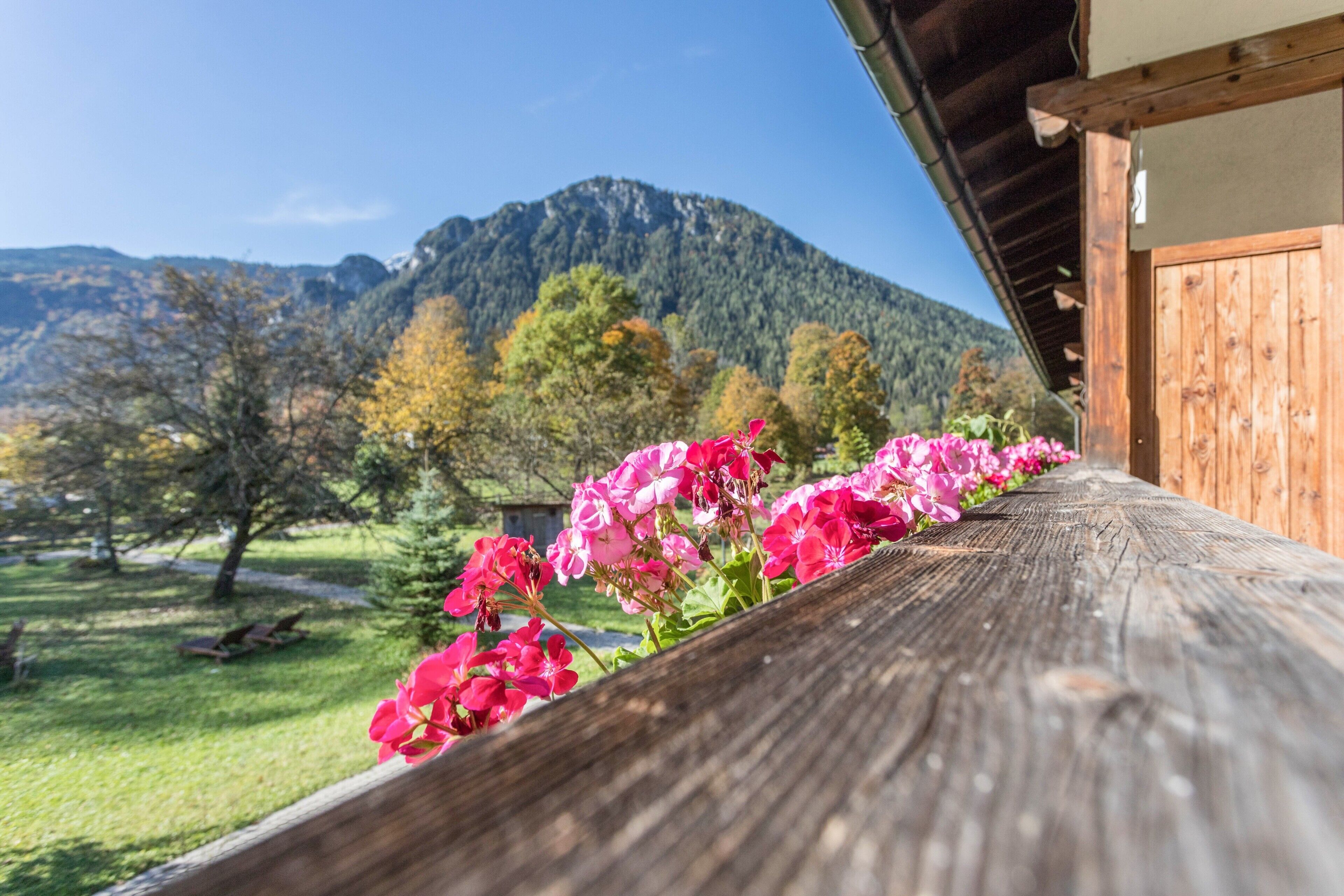 Un banc en bois orné de fleurs roses, une montagne en arrière-plan et un ciel dégagé.