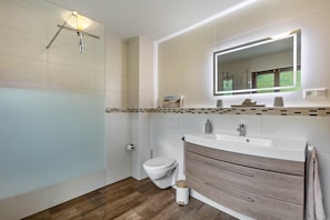 Shower, free toiletries, hair dryer, towels