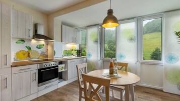 Fridge, oven, stovetop, dishwasher