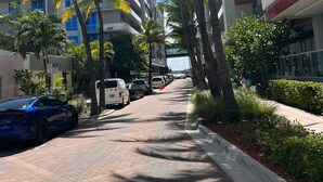 A paved pathway lined with palm trees and parked cars, leading to a modern building with balconies. - Lovely waterfront condo (Hollywood)