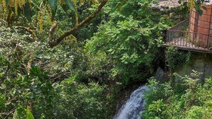 A lush green landscape with a waterfall and dense foliage. - chargevillage (Jiaoxi)