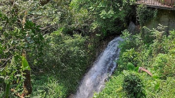 Pemandangan dari properti