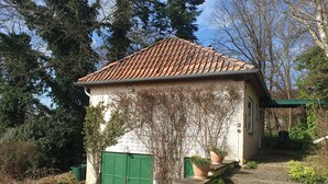 Un pequeño edificio con techo de tejas, una puerta verde y plantas en macetas.