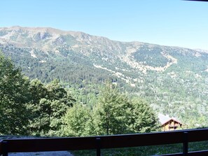 Vista desde la propiedad