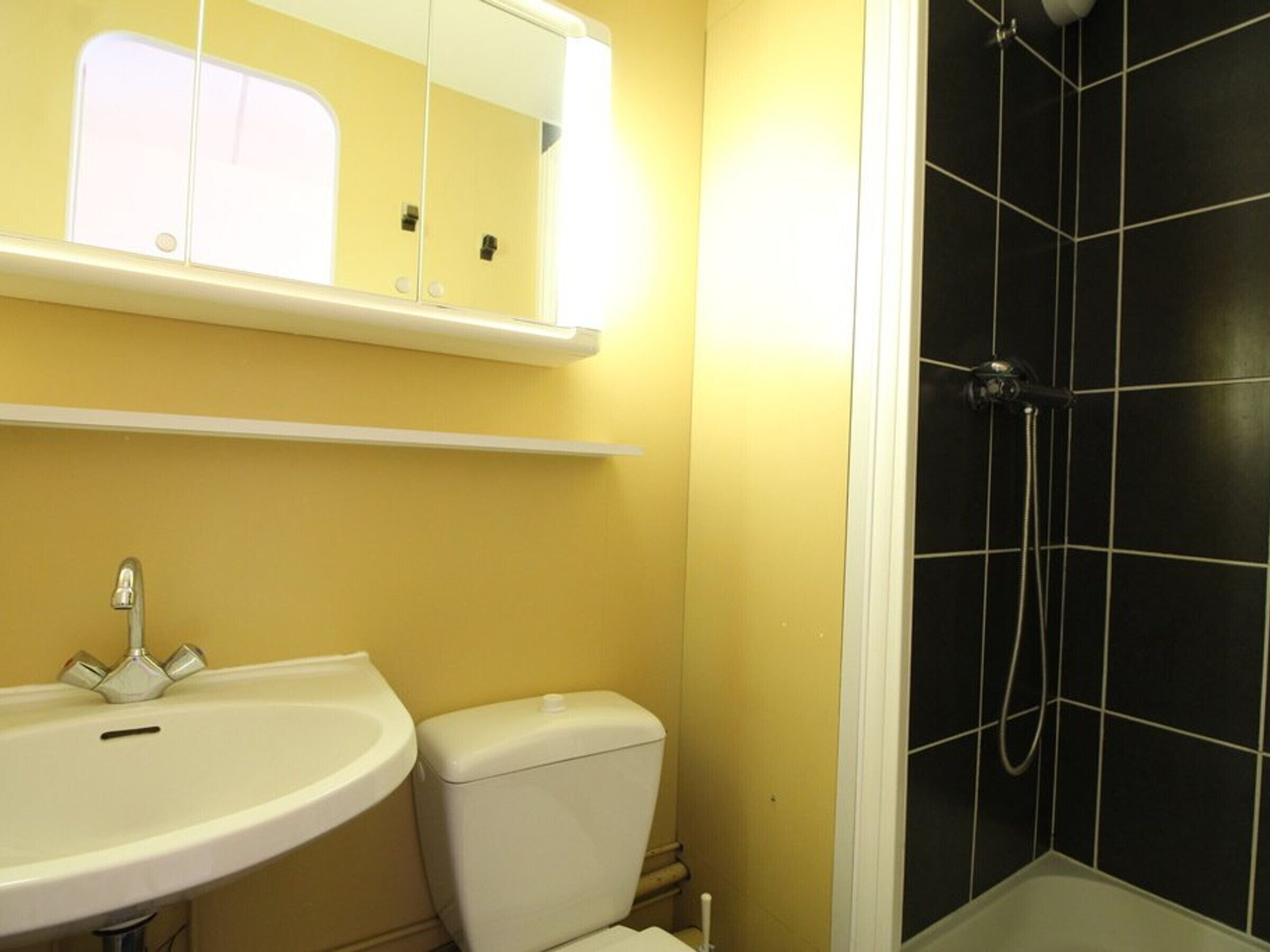 A bathroom with a white sink, a toilet, and a shower with black tiles.