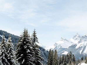 Miscellaneous - Ski-in ski-out studio in Flaine, perfect for skiers, 4 pers, pets allowed (Flaine)