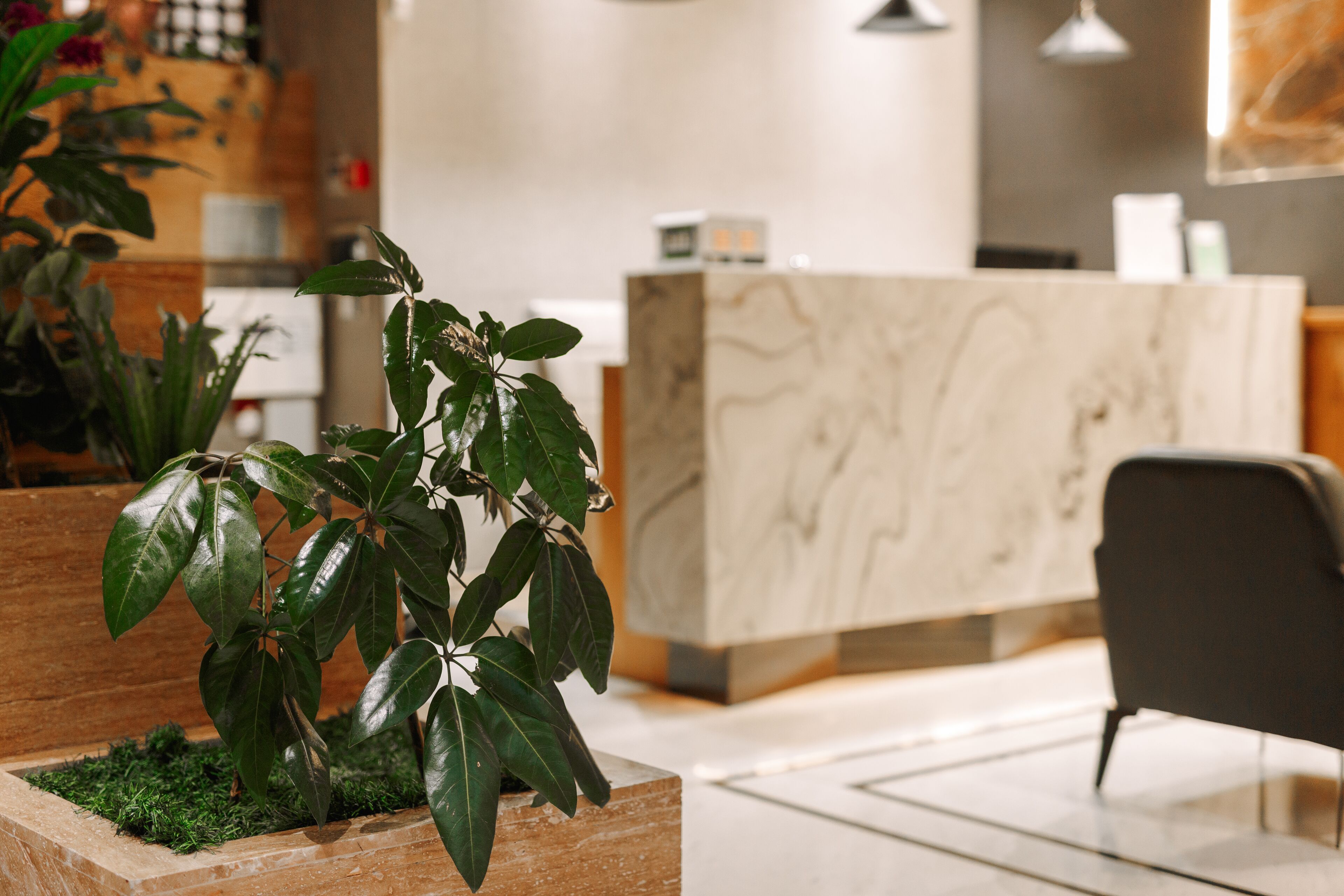 Foto - Hotel Bel Mare