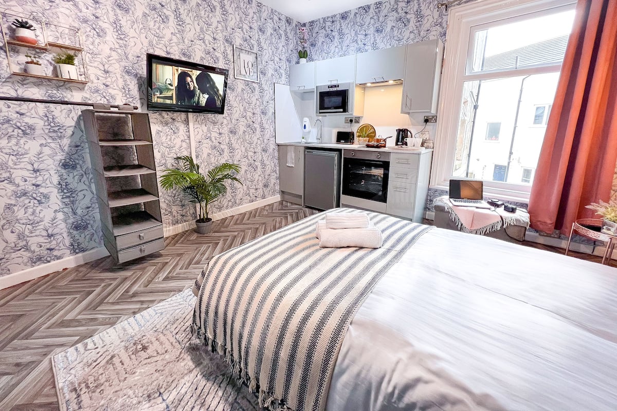 Un dormitorio moderno con una cama grande, televisión, kitchenette y una planta en maceta.
