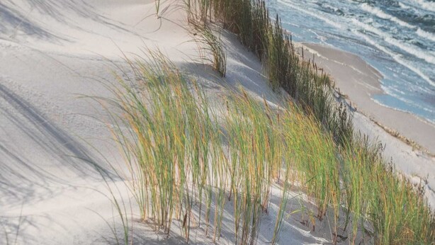 Een zandstrand met gras en golven.
