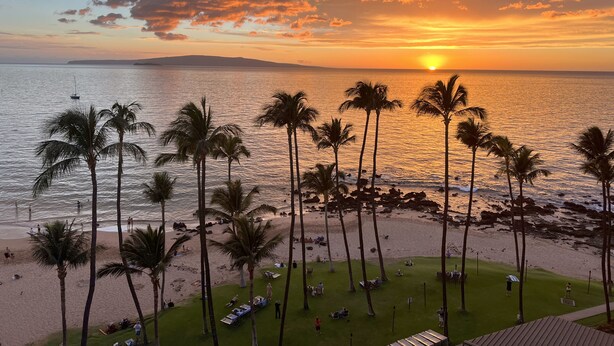 A beach with palm trees and a sunset over the ocean.