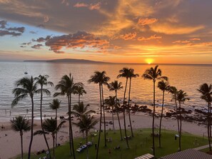 A beach with palm trees and a sunset over the ocean.