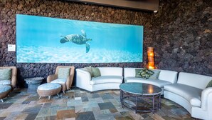 A modern lounge area with a large wall mural of a sea turtle, stone walls, and a variety of seating options including sofas and chairs.