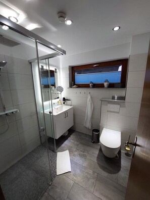 Shower, hair dryer, bidet, towels