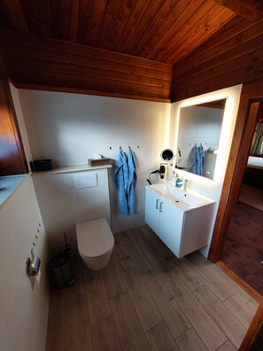Regadera, secadora de cabello, bidet, toallas