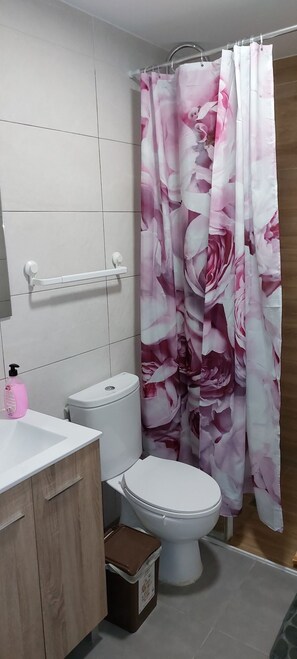 Shower, hair dryer, towels, toilet paper - port of valence (València)
