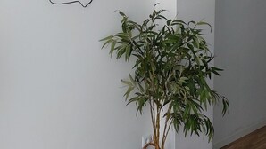 A room with a television mounted on the wall displaying a news channel, a potted plant, and wooden flooring. - port of valence (València)