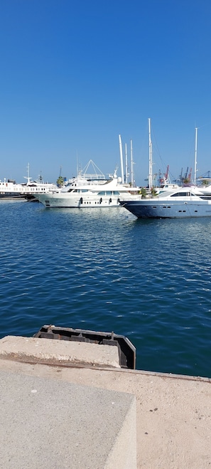 Jachthaven