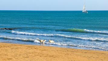 Una spiaggia nelle vicinanze, pesca
