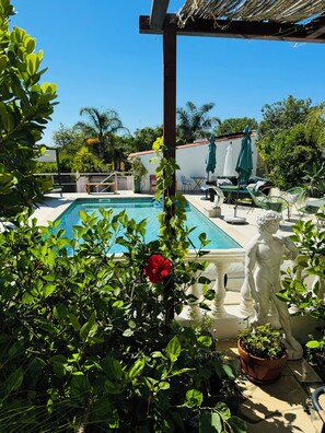 Outdoor pool, pool loungers