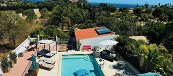 Palm View Guesthouse-Adults only