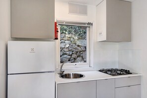 Fridge, microwave, stovetop, electric kettle