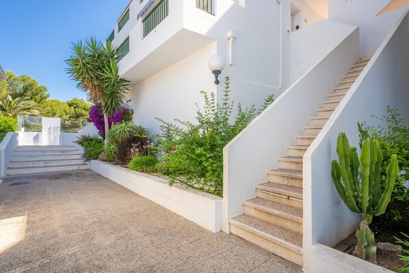 A white building with a staircase, a cactus, and various plants.