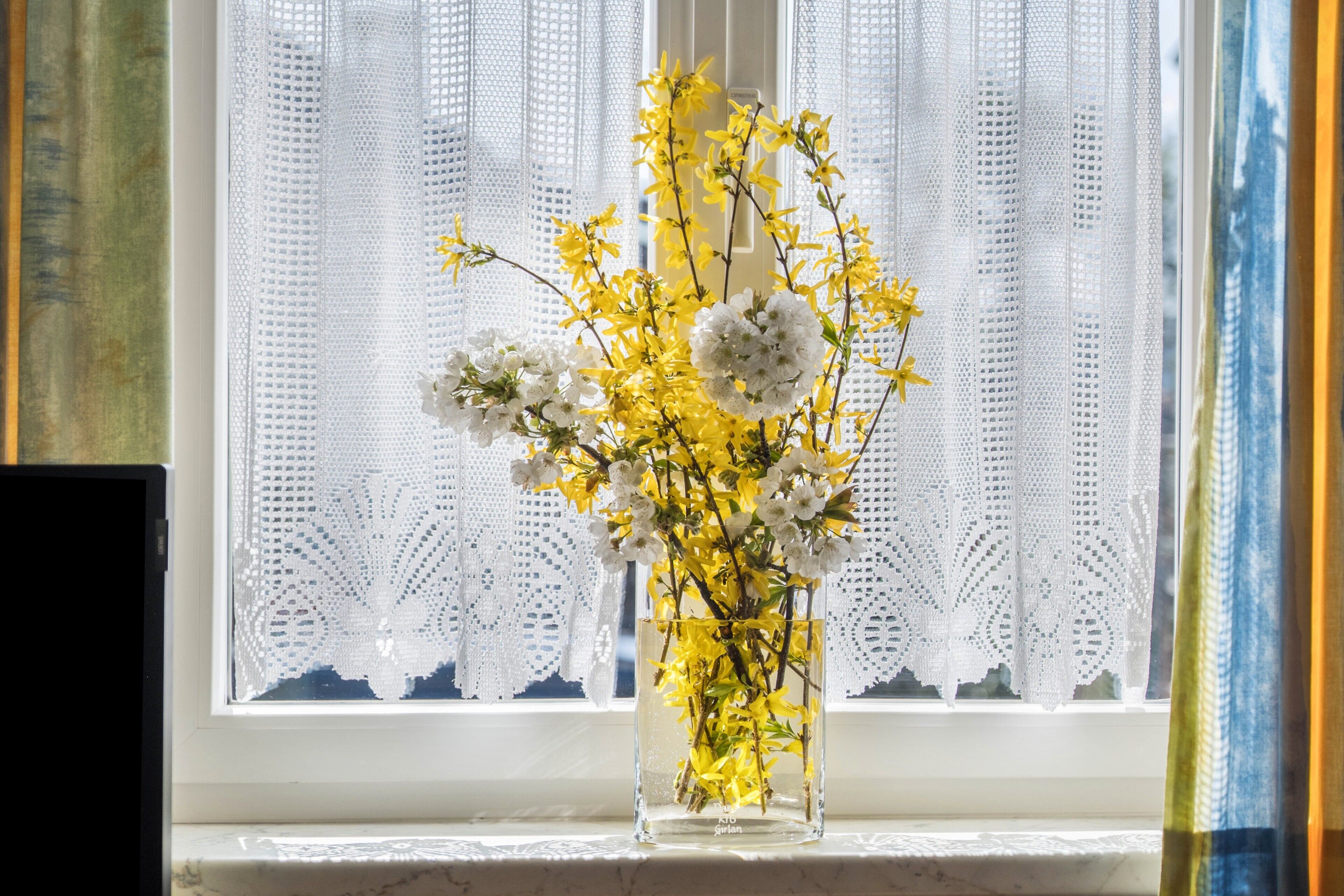 A vase with flowers on a windowsill.