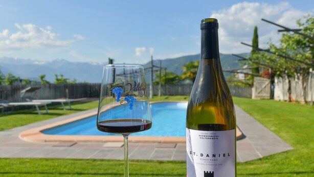 A wine bottle and glass on a patio with a pool and mountains in the background. - Farmhouse "Valtlhof - Apt 2" with Shared Pool, Shared Garden & Wi-Fi (Cornaiano)