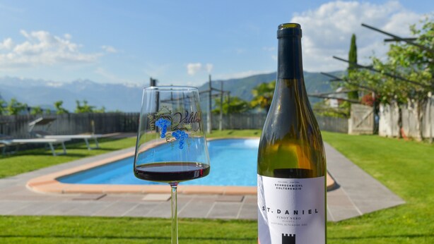 A bottle of St. Daniel Pinot Noir wine and a glass of red wine by a pool with a mountainous backdrop. - Farmhouse "Valtlhof - Apt 1" with Shared Pool, Shared Garden & Wi-Fi (Cornaiano)