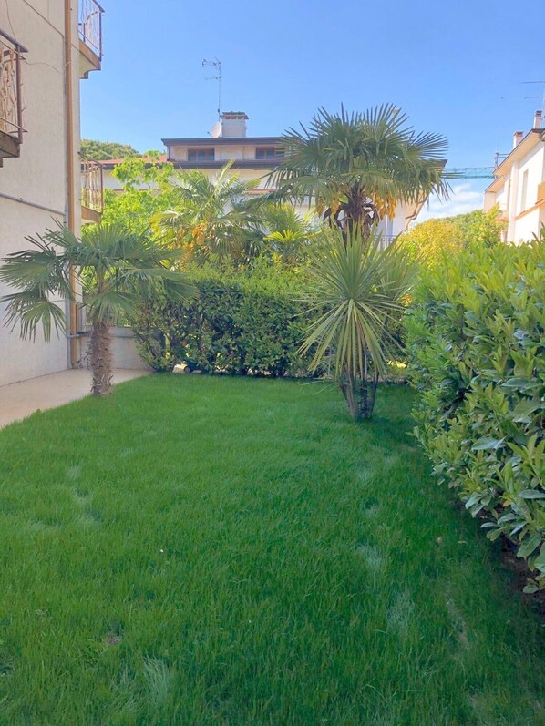 Un jardin bien entretenu, avec une pelouse, des palmiers et une végétation luxuriante.
