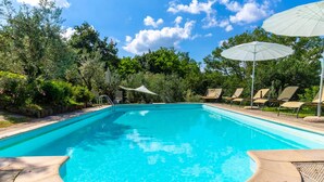 Piscina com espreguiçadeiras e guarda-sóis, cercada por vegetação.