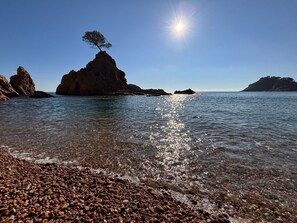 Una costa rocciosa con acque cristalline, un albero solitario su una formazione rocciosa e colline sullo sfondo.