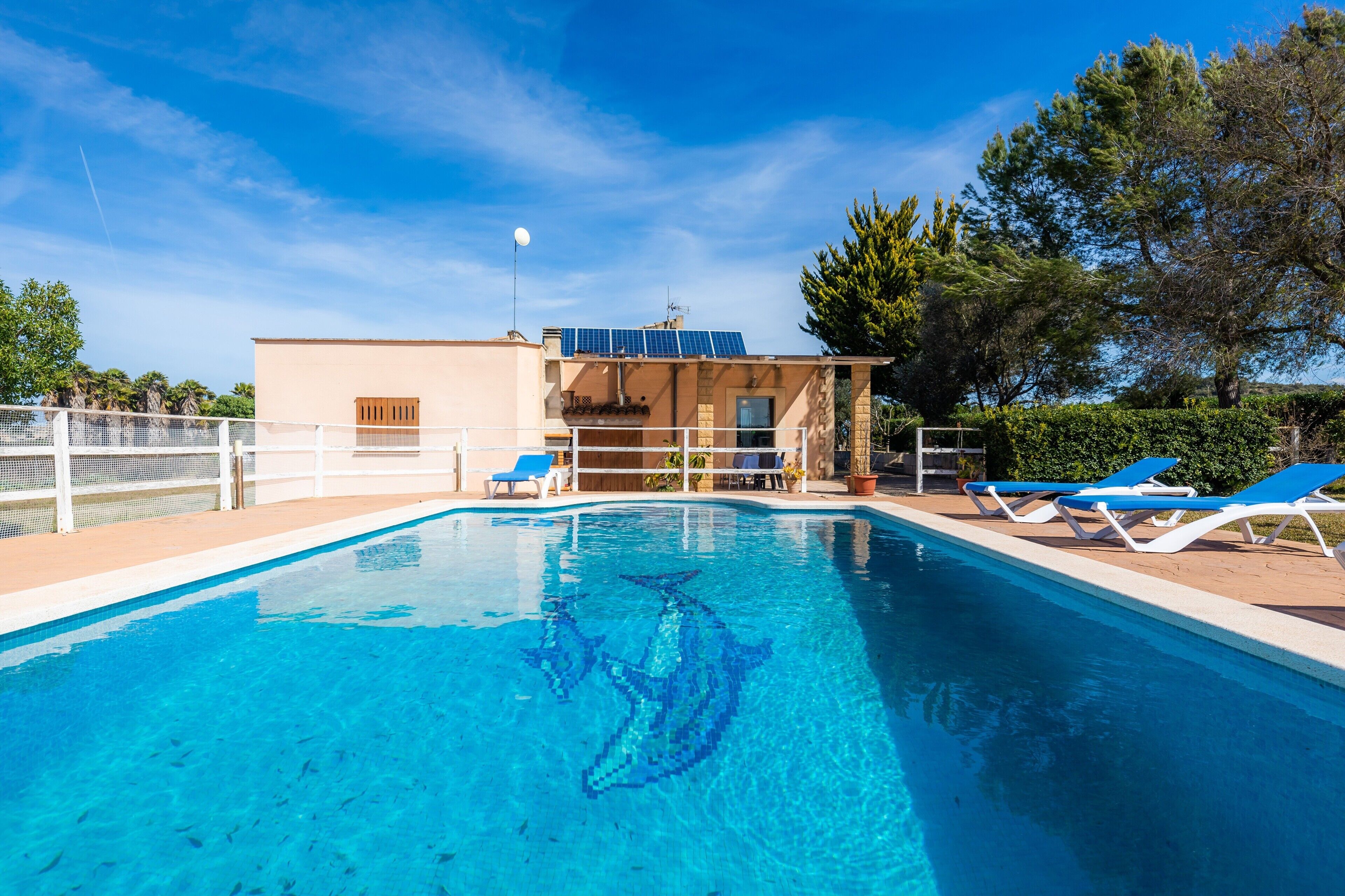 A swimming pool with a dolphin mosaic, lounge chairs, and a building with solar panels.