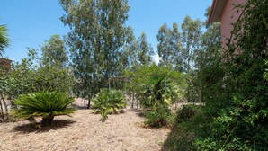 A dry, grassy area with several palm trees and dense shrubbery. - Villa "Filippa" with Mountain View, Private Terrace & Private Garden (Nicosia)