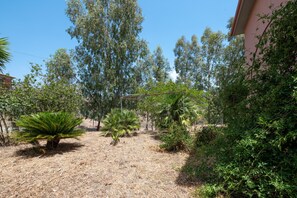 Terrain de l’hébergement 