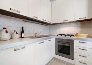 Fridge, oven, stovetop, dishwasher