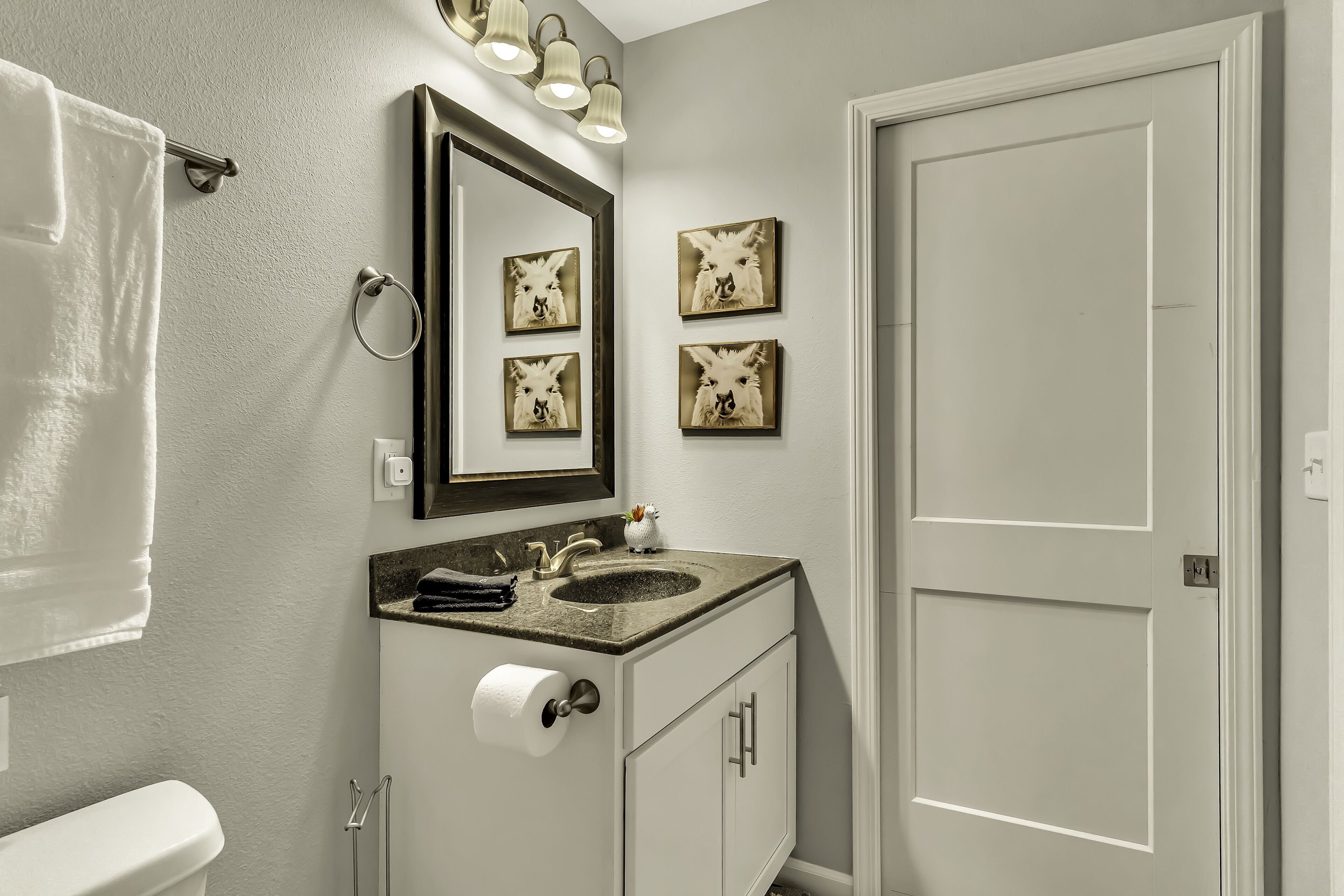 A bathroom with a white toilet, a sink with a mirror above it, and three framed pictures on the wall.