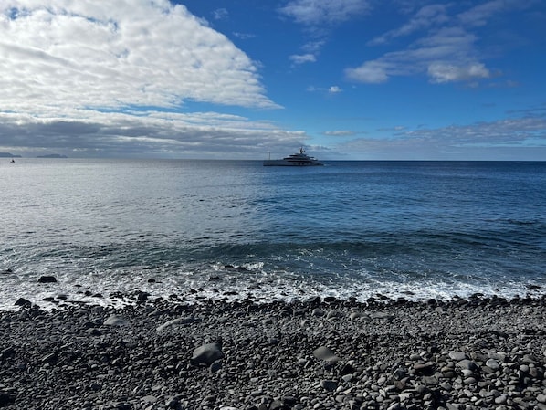 A rocky shoreline with a large yacht in the distance.